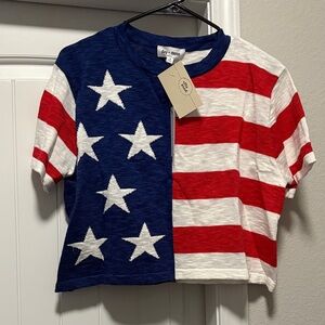 Star-Spangled Crop Top by Daydream